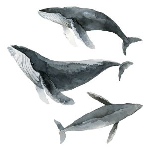 Whales by Robert Hamilton