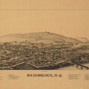 Bird's-eye View Bainbridge - 1889