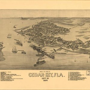 Bird's eye view Cedar-Key - 1884