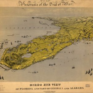 Bird's-eye view of Florida, Georgia and Alabama
