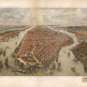 Bird's-eye view New York - 1865