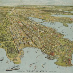 Birds-eye View Sydney - 1888