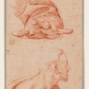 Draw Study, unknown artist