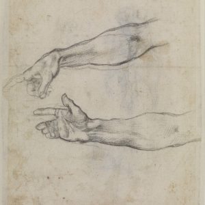 Studies of an outstretched arm