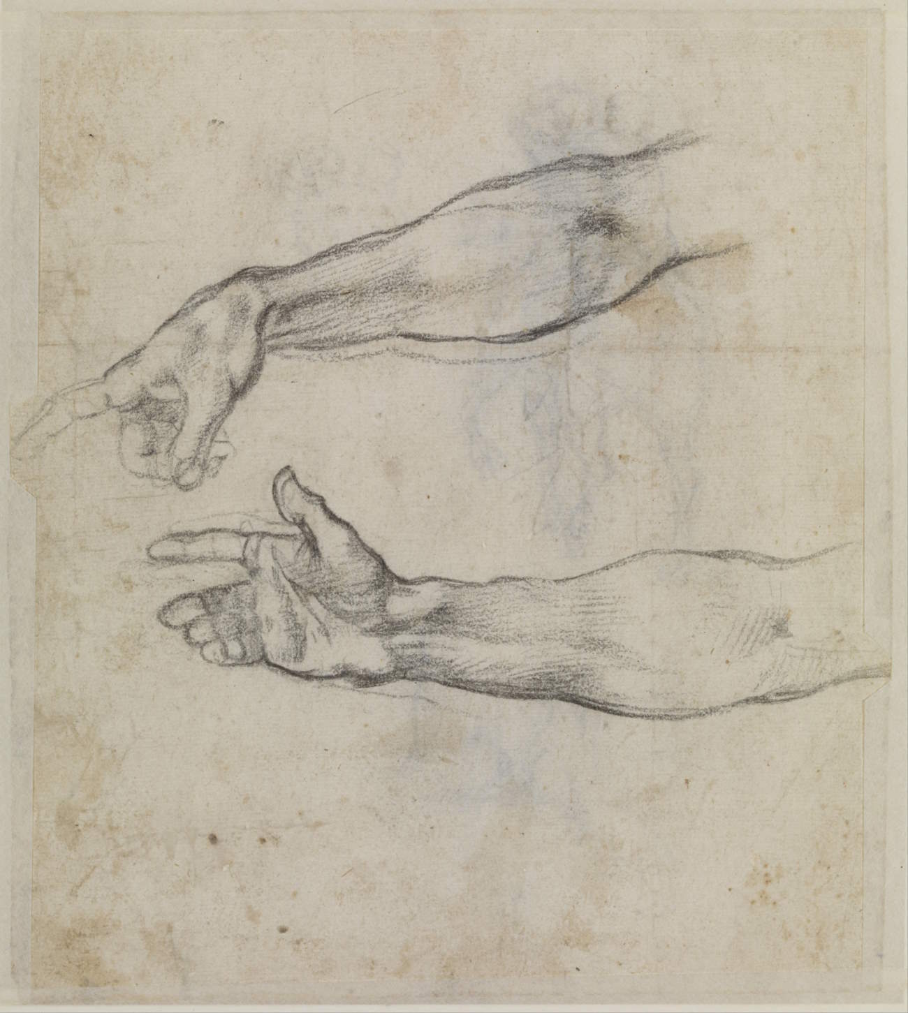 Studies of an outstretched arm Studies of an outstretched arm