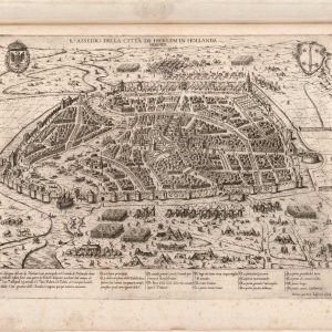 The Siege of Harlem City