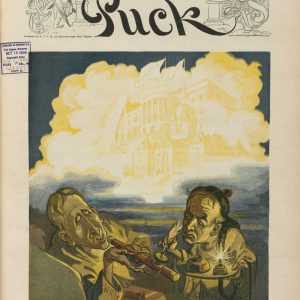 Puck - A Saffron Dream