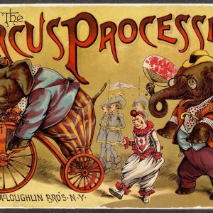 Elephant Circus Procession