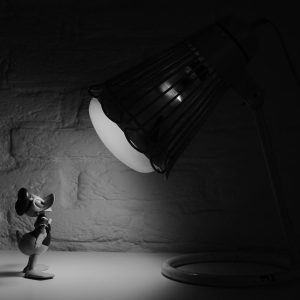 Spotlight on Donald Duck