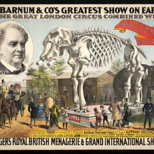 P. T. Barnum Sangers