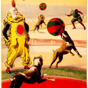 Barnum & Bailey Football Dogs