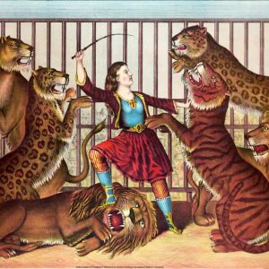 Female Lion Tamer