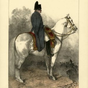 Emperor Napoleon on a Military Campaign