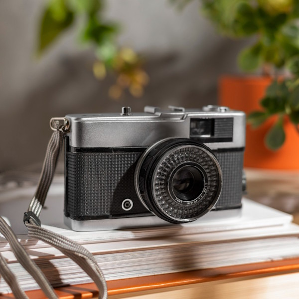 Icon Photography Color