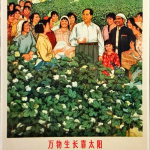 Chinese propaganda poster of Chairman Mao Zedong smiling in a cotton field with happy farmers. Vibrant Cultural Revolution artwork.